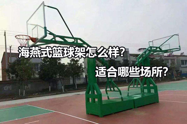 海燕式篮球架怎么样？适合哪些场所？图1