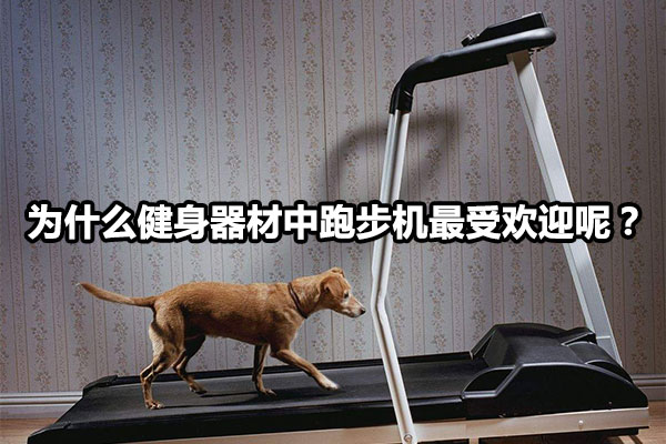 为什么健身器材中跑步机最受欢迎呢？图1