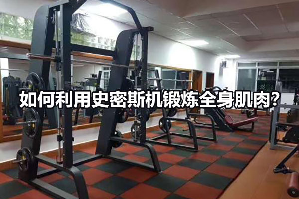 如何利用史密斯机锻炼全身肌肉？图1