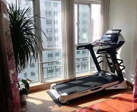 哪种跑步机家用牌子比较好？图1