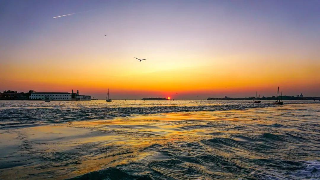 人生&ld龙岩二中兔子舞quo;5品&rdquo;,你是哪个品?