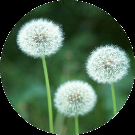 &ldquo;japan&rdquo;竟然不是&ldquo;日本&rdquo;!那是什么意思?