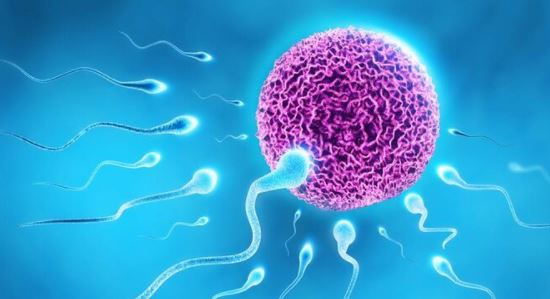 说真的:别不当回事:男人多少岁是&ldquo;绝精期&rdquo;?图1