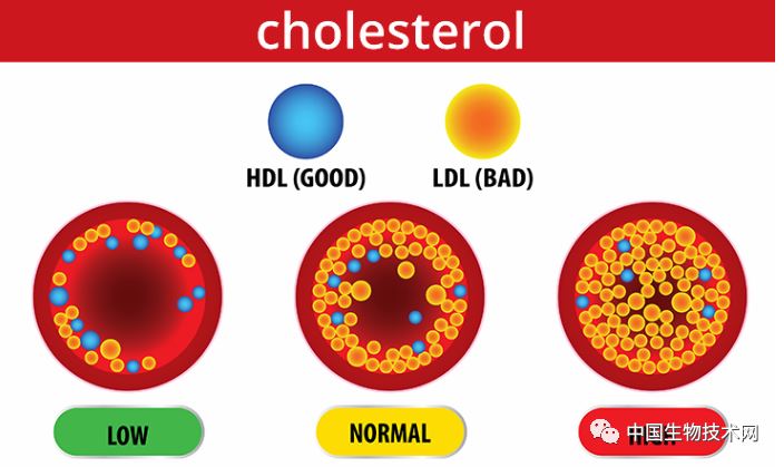 意外发现!Science:&ldquo;好胆固醇&rdquo;竟然还能隐藏炎症分子,保图1