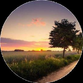 赵文卓翻红被骂&ldquo;假正经&rdquo;?张国荣:人太正直,不适合混迹娱图1