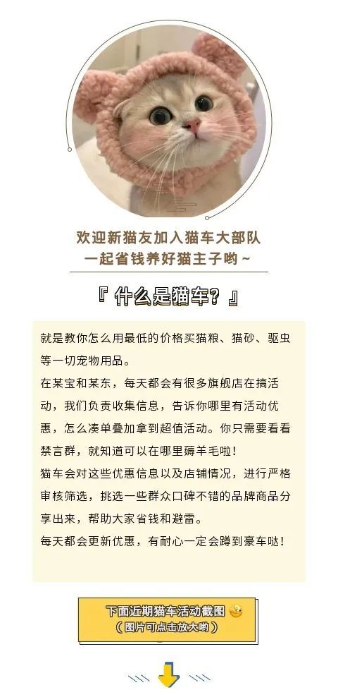 皇家猫粮国产猫咪出现呕吐、拉稀怎么回事?兽医:这7个原因图1