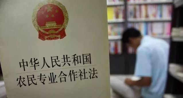 喜从天降!又一好消息!农村合作社强势&ldquo;回归&rdquo;,5大好处随图1