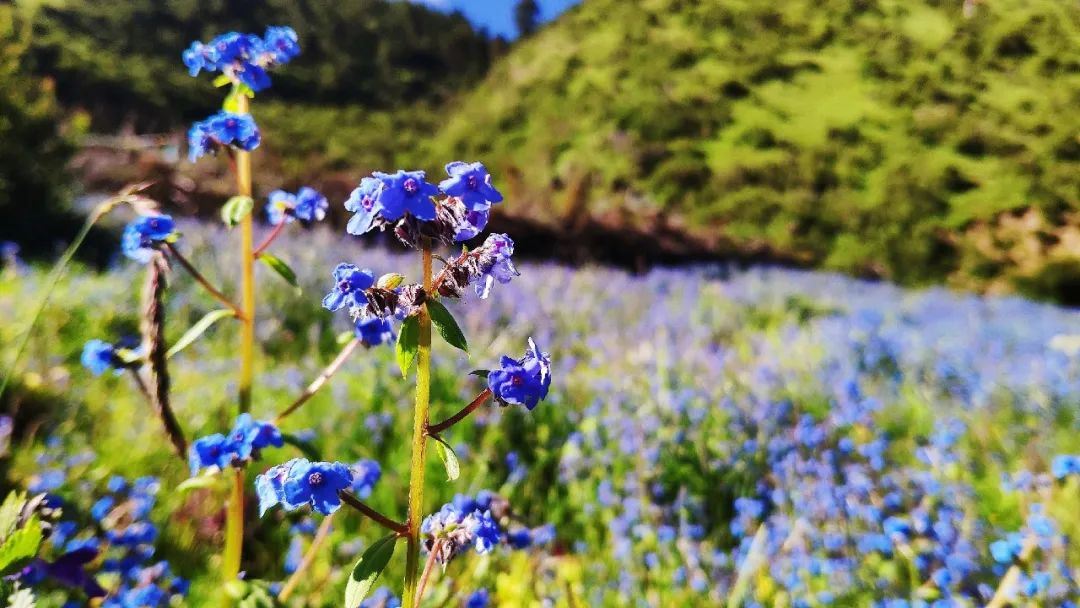 使自己变成最有力量、最具吸引力的人的窍诀图1