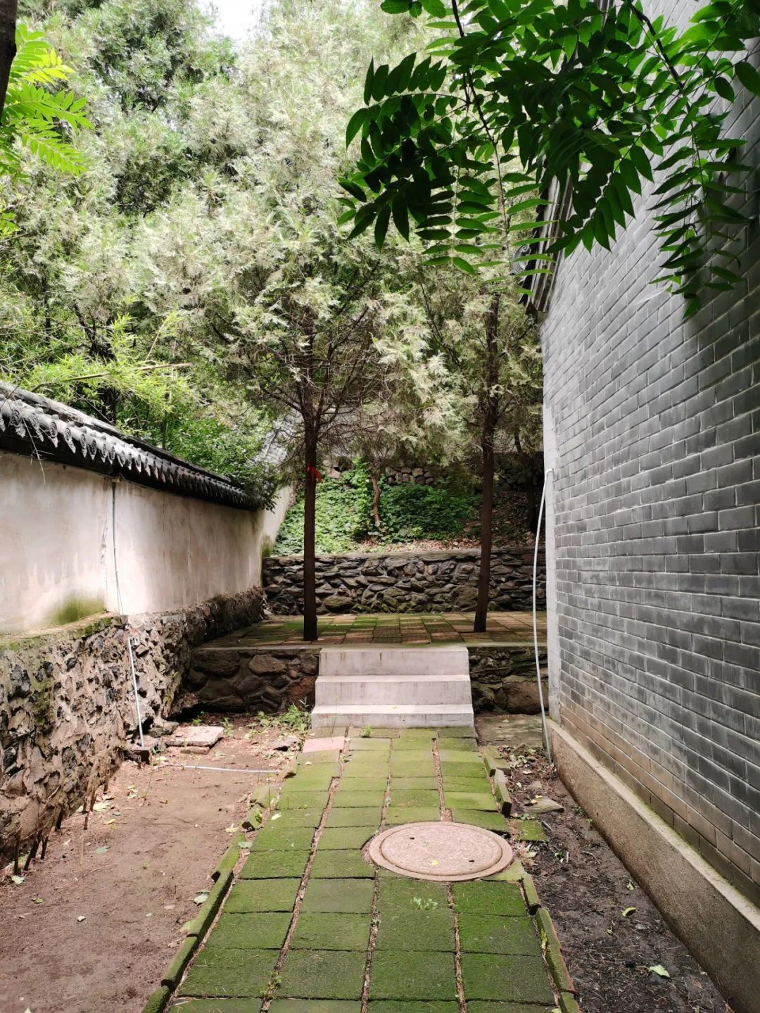 教育部通知,高中生迎来3个&ldquo;坏消息&rdquo;,想上大学真是太难了图1