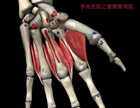 骨间?。ū巢啵?     /></p></article>
                  <div   id=