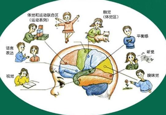 什么是本体感觉？为什么要进行本体感觉训练？(hk是什么意图1