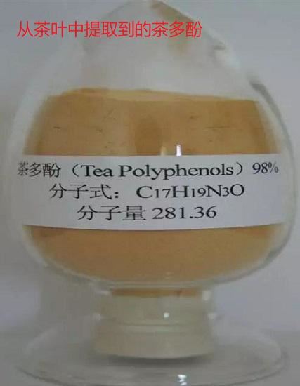 茶多酚