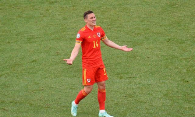 威尔士世界杯预选赛成绩(威尔士世界杯战绩)图1