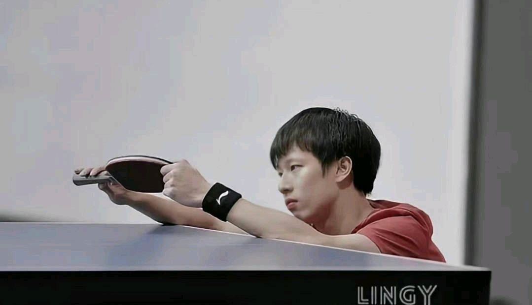 向鹏赢得认可，来源于林高远的发挥，国乒讲究秩序(向远鹏图1