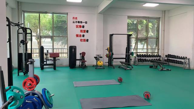 健身器材去哪里买?健身器材去哪里买比较好？(健身器材去图1