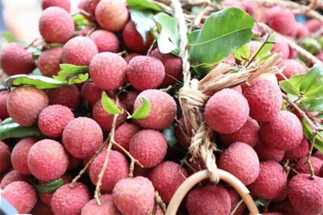 桂平有哪些特色水果