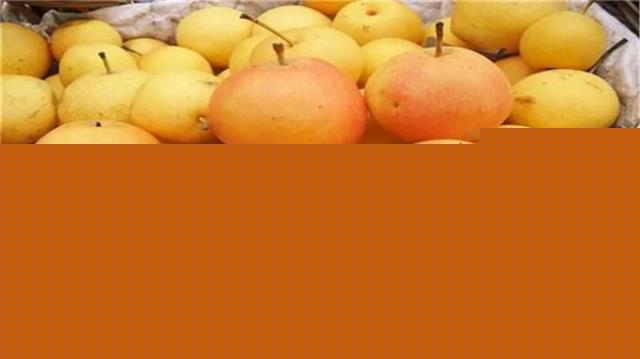 宁夏有哪些特色水果 宁夏的特产