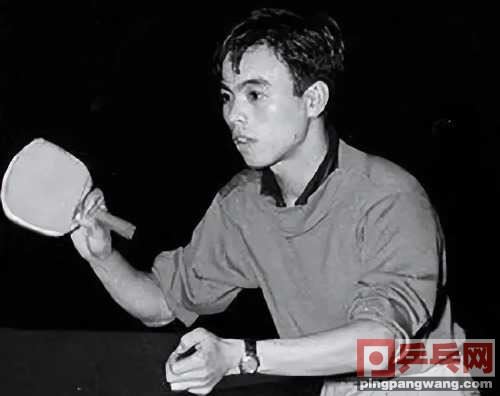 日本乒坛真热闹！去年972人报名全锦赛，今年至少447位选图1