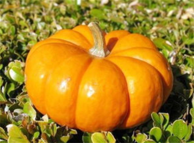 南瓜皮厚又硬不好去皮，教你好方法(南瓜皮太硬了用什么剥