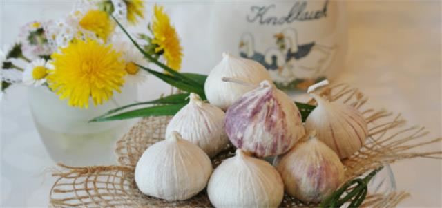 ?不宜吃大蒜的人群 吃大蒜的好处是什么图1