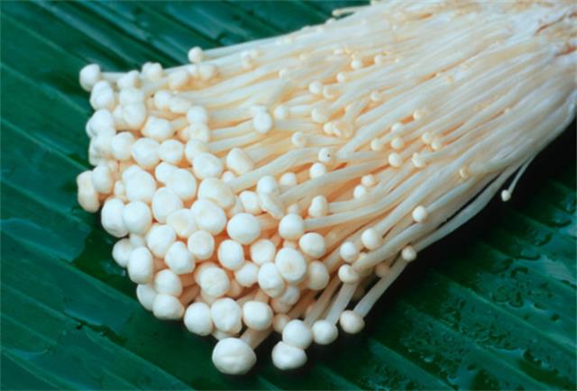 ?怎么看金针菇是否含甲醛 金针菇有甲醛该怎么去除