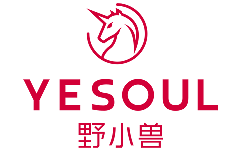 野小兽动感单车S1深度测评，试用感受