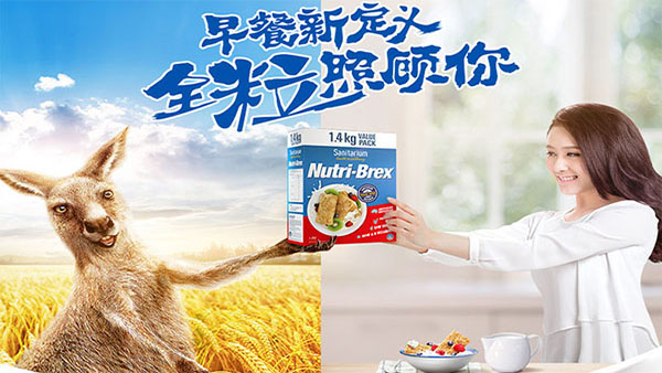 欣善怡Nutri-Brex麦片，get明星同款减肥早餐 图